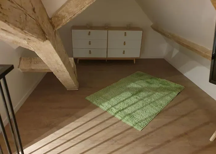 Le Duplex Moderne En Hypercentre Apartament