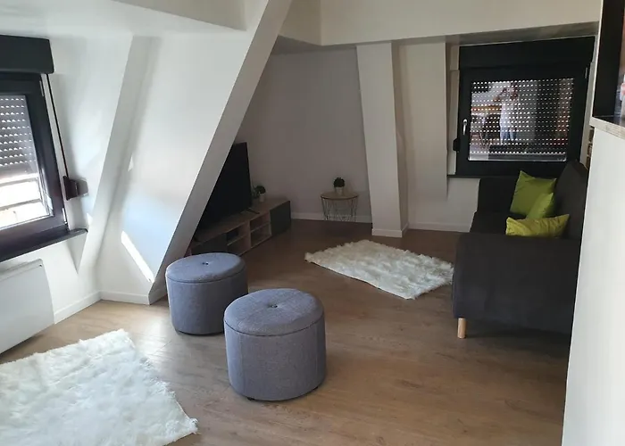 Le Duplex Moderne En Hypercentre Apartament *