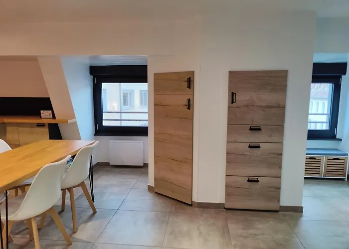 Apartament Le Duplex Moderne En Hypercentre